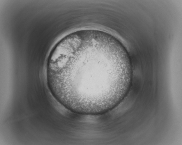 X0000113041514200909031301