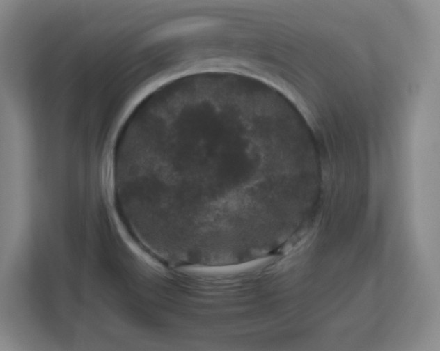 X0000113041515200909031301