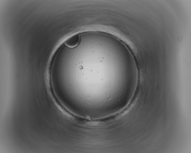 X0000113041517200909031301