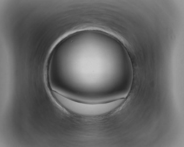 X0000113041518200909031301