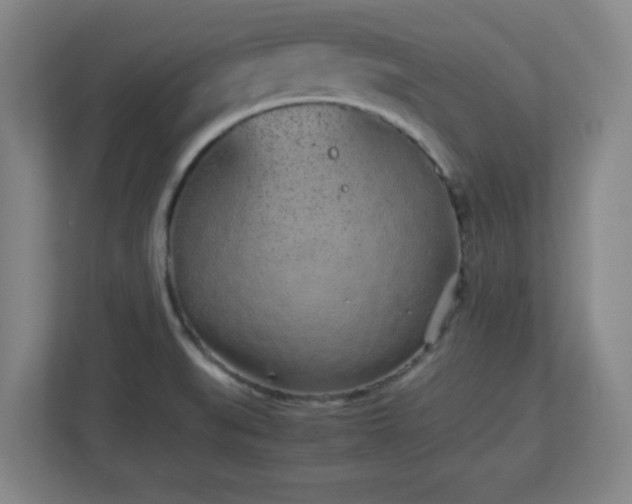 X0000113041519200909031301