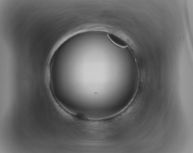X0000113041520200909031301