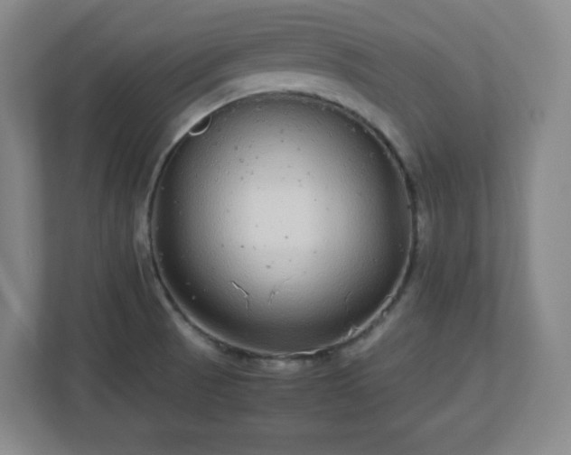 X0000113041521200909031301