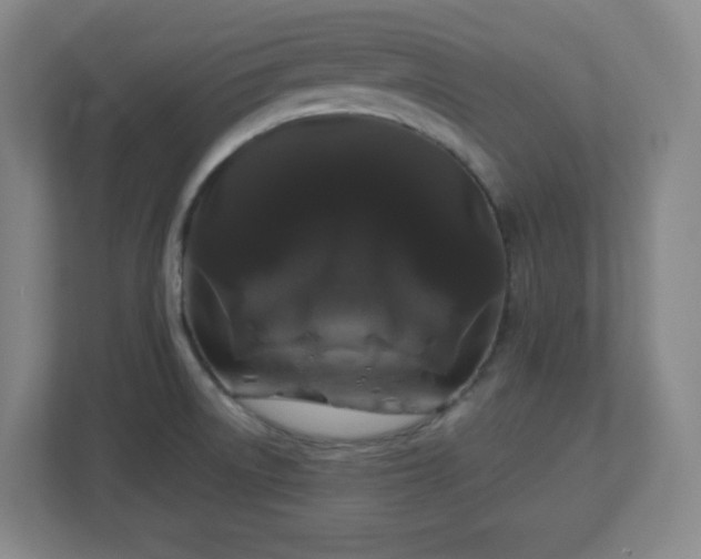 X0000113041522200909031301