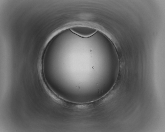 X0000113041523200909031301