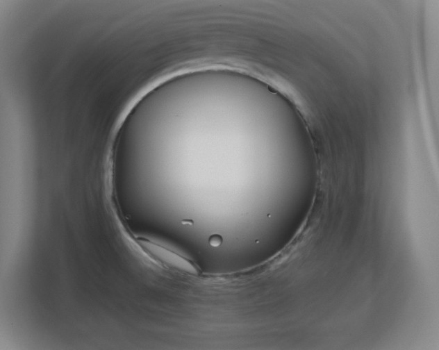 X0000113041524200909031301