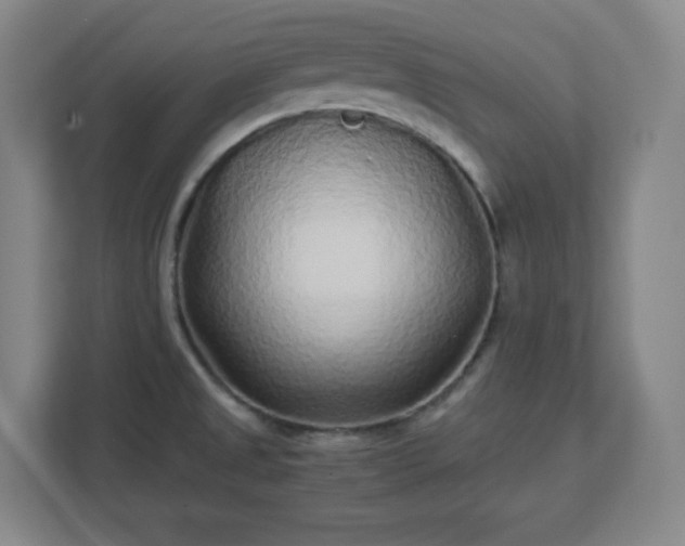 X0000113041525200909031301