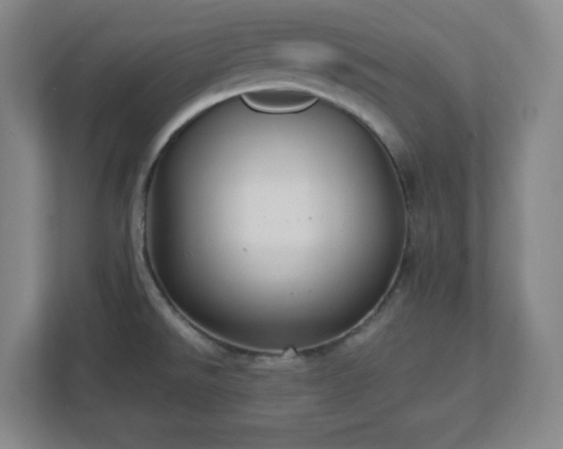 X0000113041526200909031301