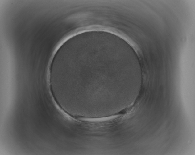 X0000113041527200909031301