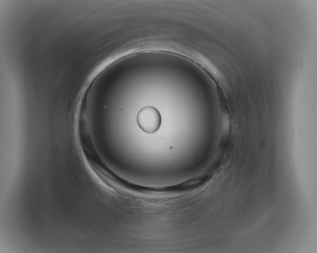 X0000113041528200909031301