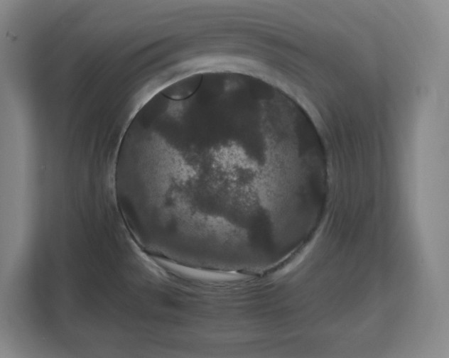 X0000113041529200909031301