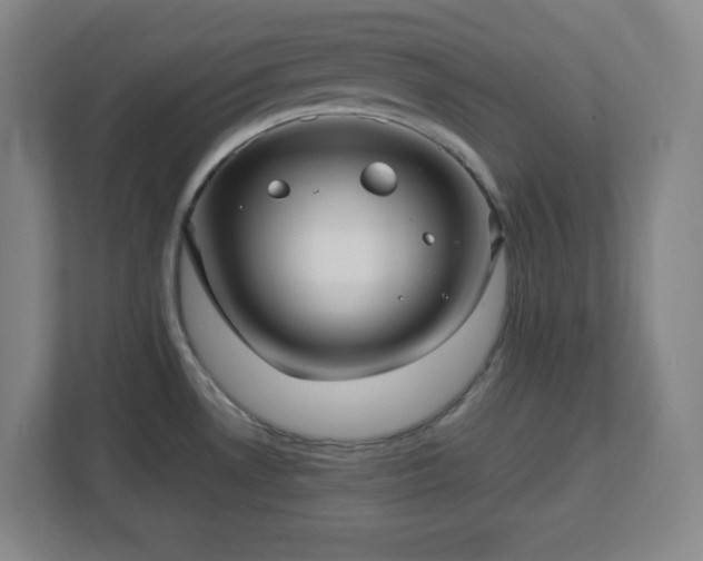 X0000113041530200909031301