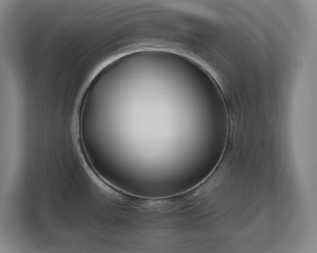 X0000113041531200909031301