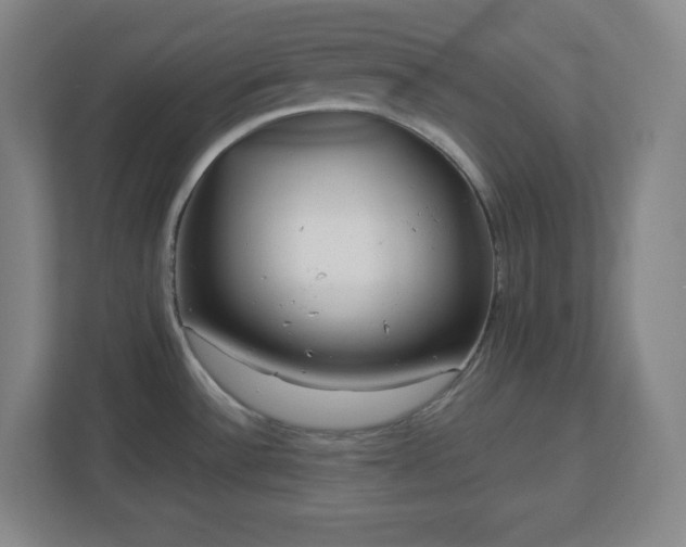 X0000113041532200909031301
