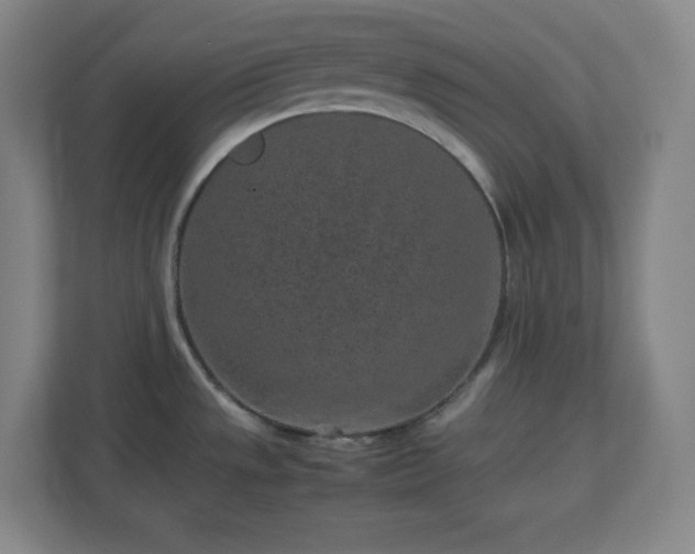 X0000113041533200909031301