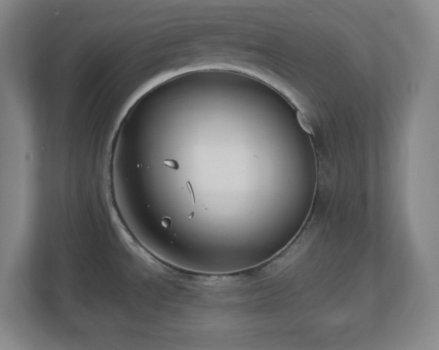 X0000113041534200909031301