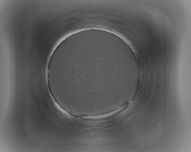 X0000113041535200909031301