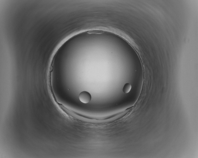 X0000113041536200909031301