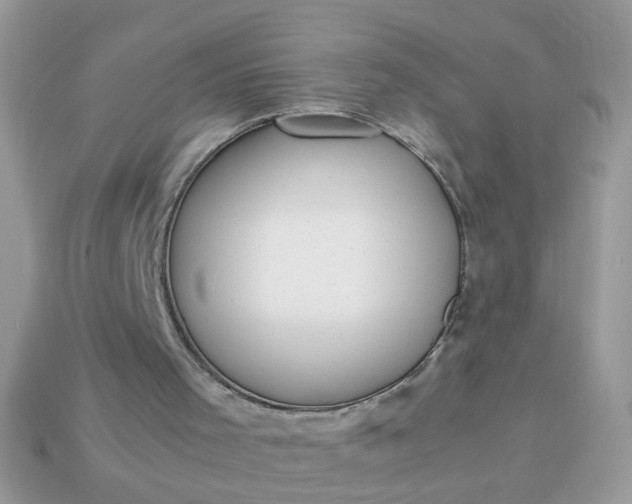 X0000113040001200909101928