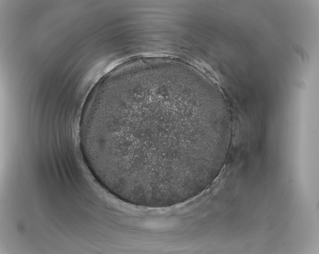 X0000113040002200909101928