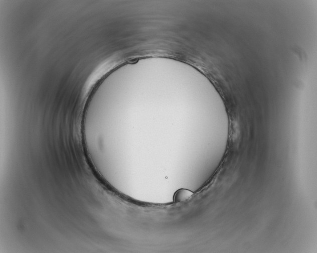 X0000113040004200909101928