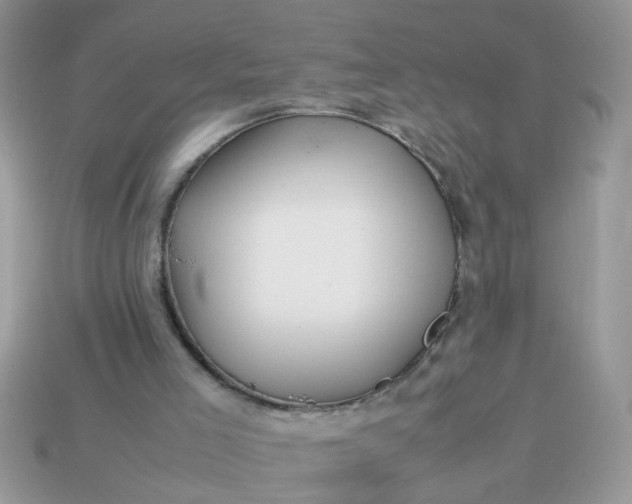 X0000113040005200909101928