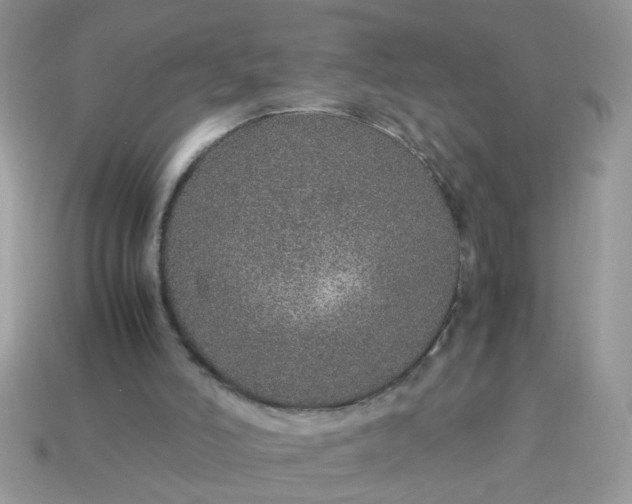X0000113040006200909101928