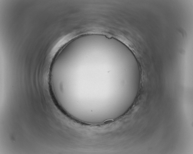 X0000113040007200909101928