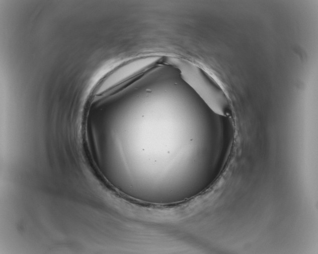 X0000113040008200909101928