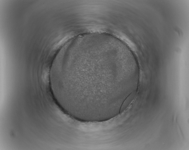 X0000113040009200909101928