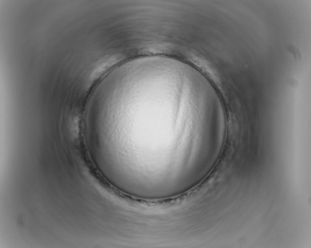 X0000113040010200909101928