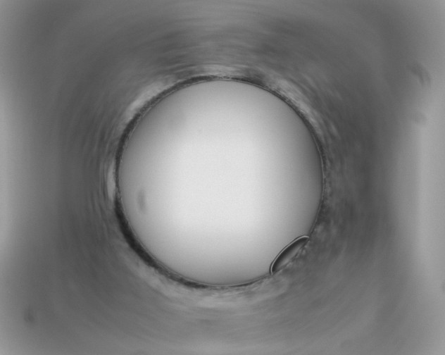 X0000113040011200909101928
