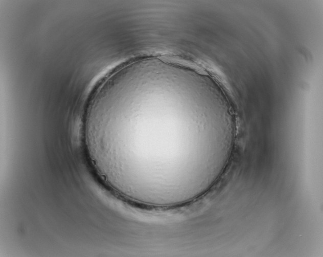 X0000113040012200909101928