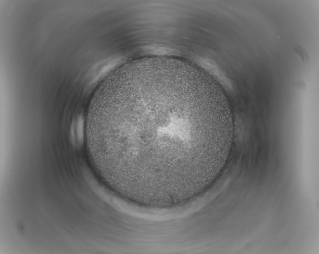 X0000113040014200909101928