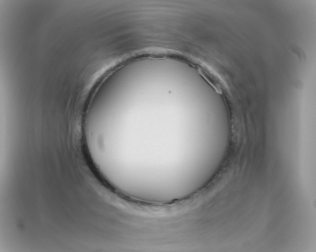 X0000113040015200909101928