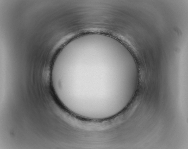 X0000113040016200909101928