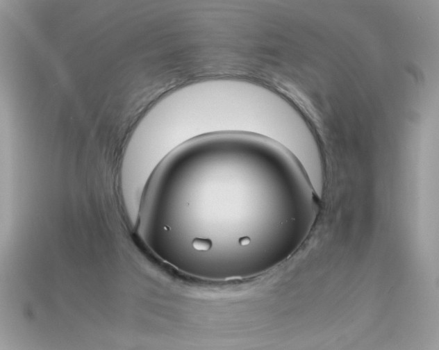 X0000113040017200909101928