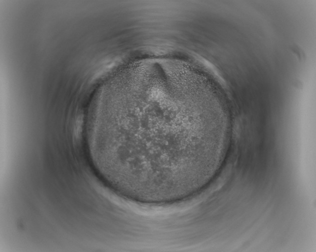 X0000113040018200909101928
