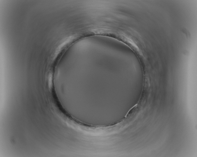 X0000113040019200909101928