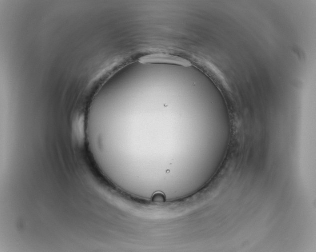 X0000113040020200909101928