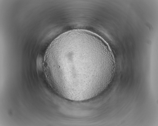 X0000113040022200909101927