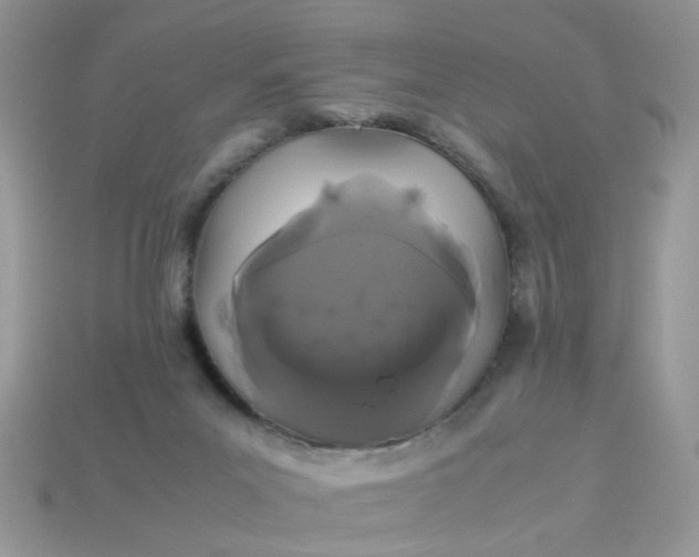 X0000113040023200909101927