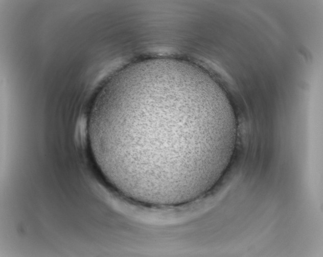 X0000113040024200909101927