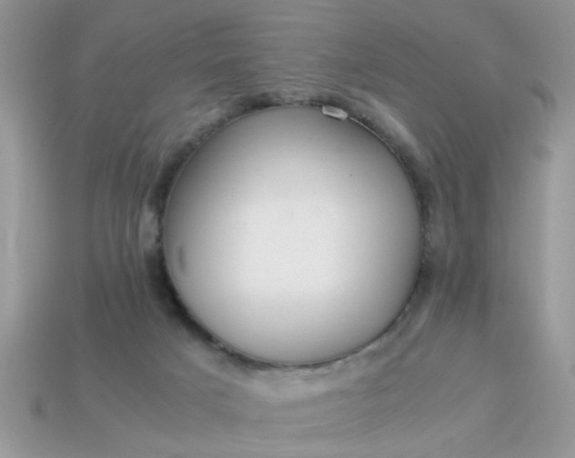 X0000113040025200909101927