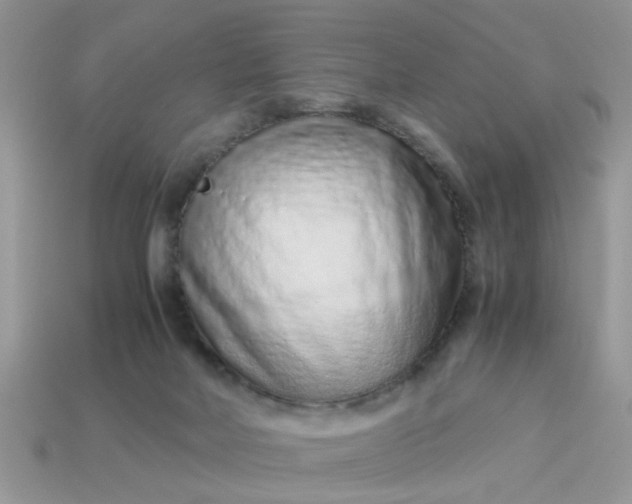 X0000113040026200909101927