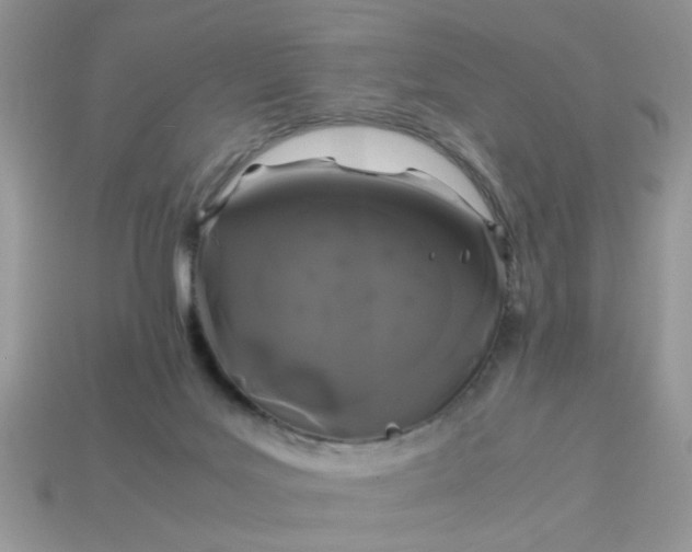 X0000113040027200909101927