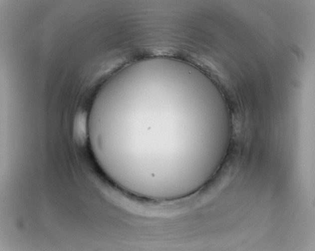 X0000113040028200909101927