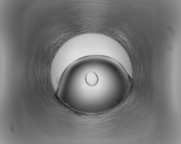 X0000113040029200909101927