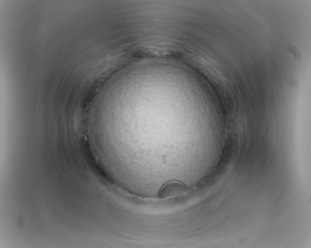X0000113040030200909101927