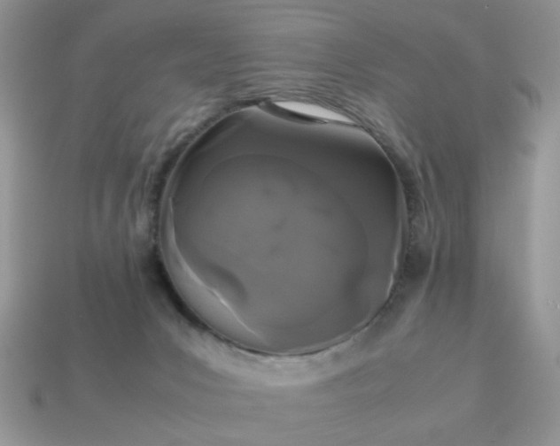 X0000113040031200909101927